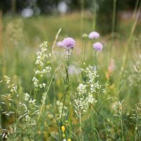 corina-rainer-LUhNMNSdw9E-unsplash corina-rainer-LUhNMNSdw9E-unsplash